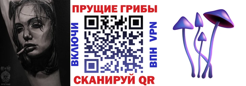 Галлюциногенные грибы Cubensis  гидра как зайти  Сурск 