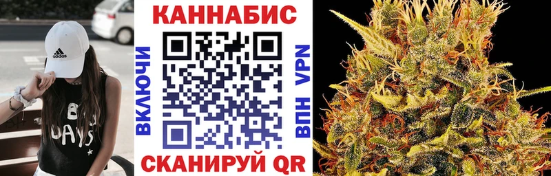 продажа наркотиков  Сурск  Каннабис сатива 